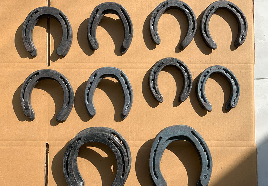 ตัวอย่างการขนส่งทางอากาศให้กับลูกค้า Horseshoe